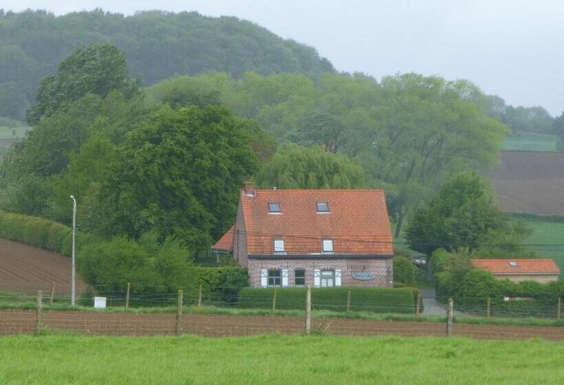 スタンダードルーム, B&b Haere Mai