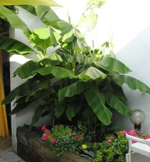 클래식 룸, Chambres D Hôtes La Tribu