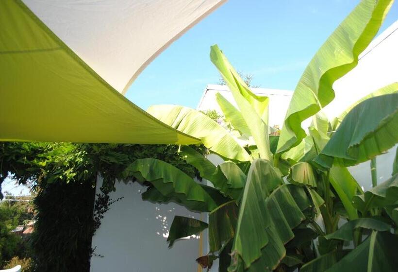 클래식 룸, Chambres D Hôtes La Tribu