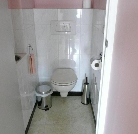 غرفة قياسية, De Windroos