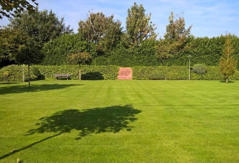 חדר סטנדרט, De Zolder