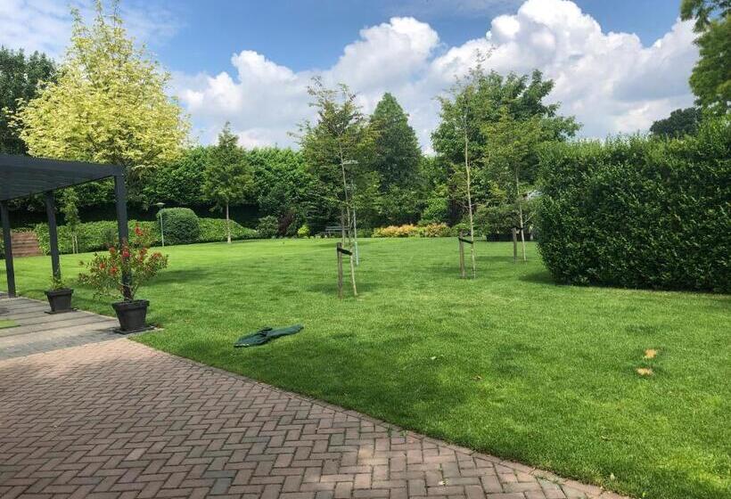 חדר סטנדרט, De Zolder