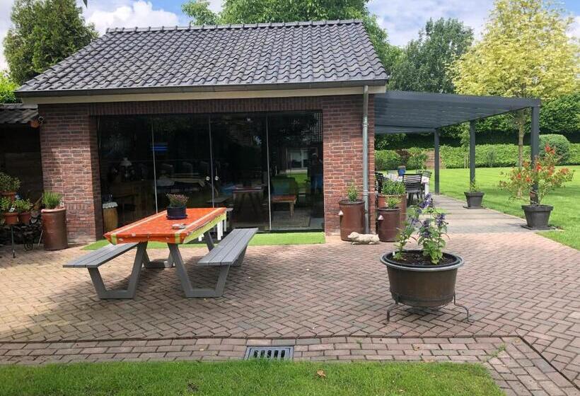 חדר סטנדרט, De Zolder