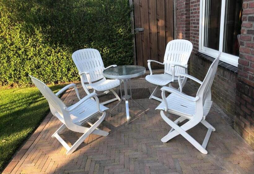 חדר סטנדרט, De Zolder