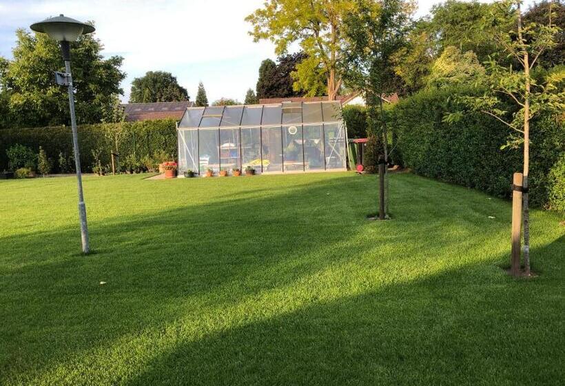 חדר סטנדרט, De Zolder