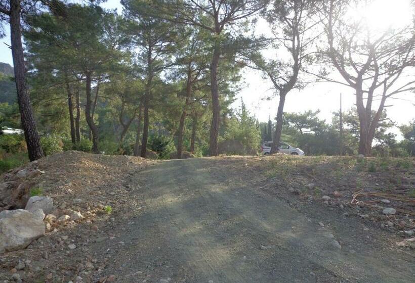 اتاق استاندارد با چشم‌انداز دریا, Farmhill