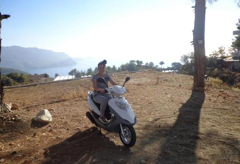 اتاق استاندارد با چشم‌انداز دریا, Farmhill