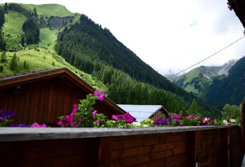 חדר סטנדרט עם מרפסת, Gästehaus Branders