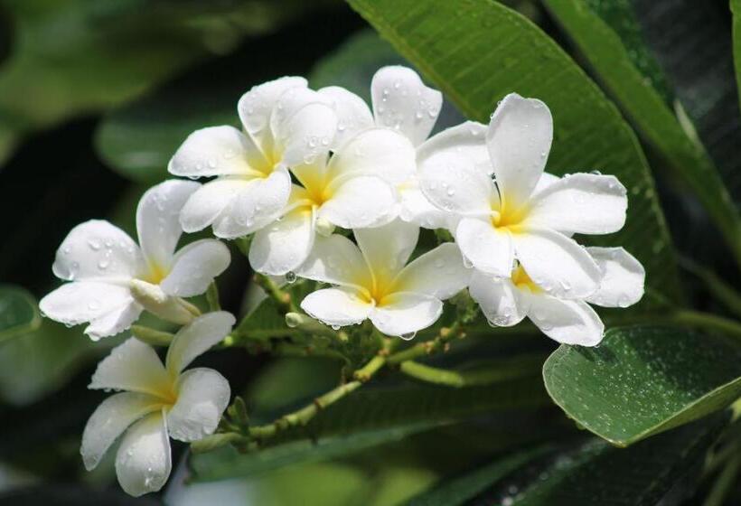 带共用浴室的标准房间, Corroboree Park Tavern