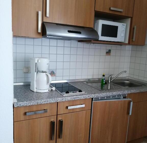 Студия Стандарт, Pension Landidylle