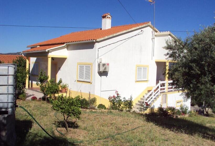 Номер Стандарт, O Miradouro