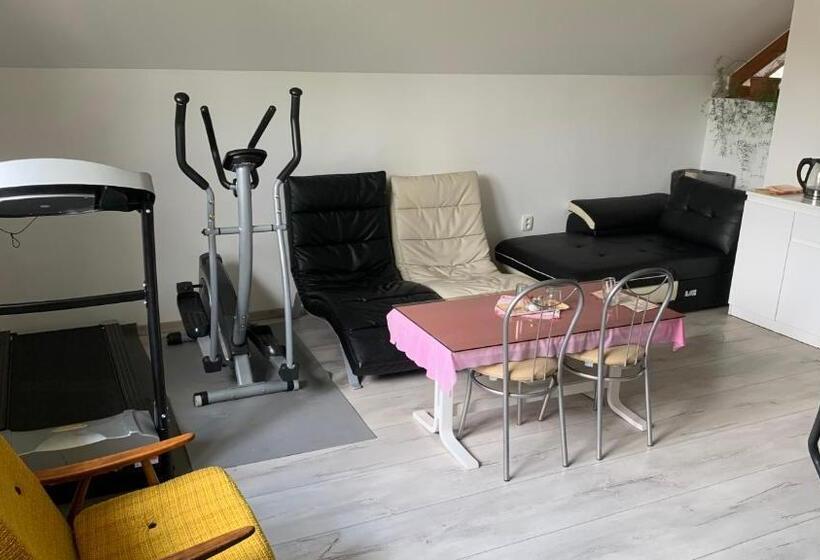 スタンダードシティビュールーム, Penzión Gaboltov