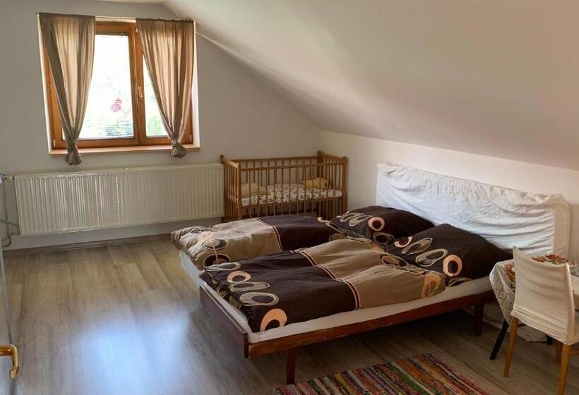 スタンダードシティビュールーム, Penzión Gaboltov