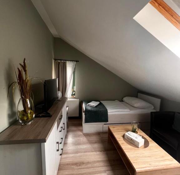 חדר סטנדרט, Penzion Horal