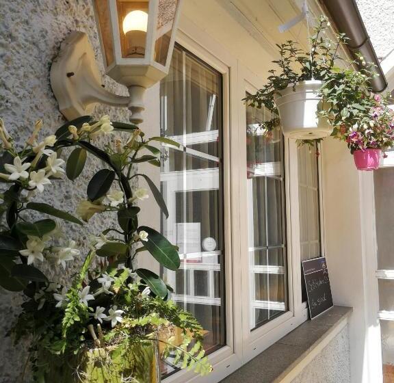 标准单人间, Rohrbacher Hof