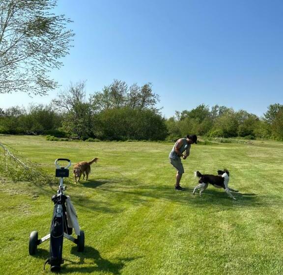 غرفة ديلوكس, South Haven