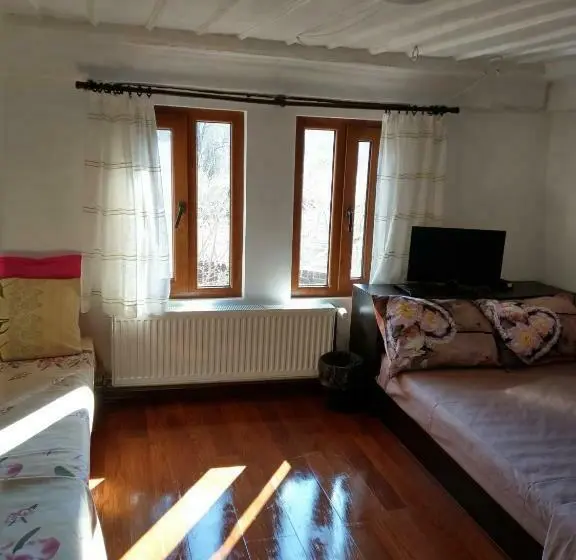 浴室共有スタンダード４人用ルーム, Vitanova Guest House