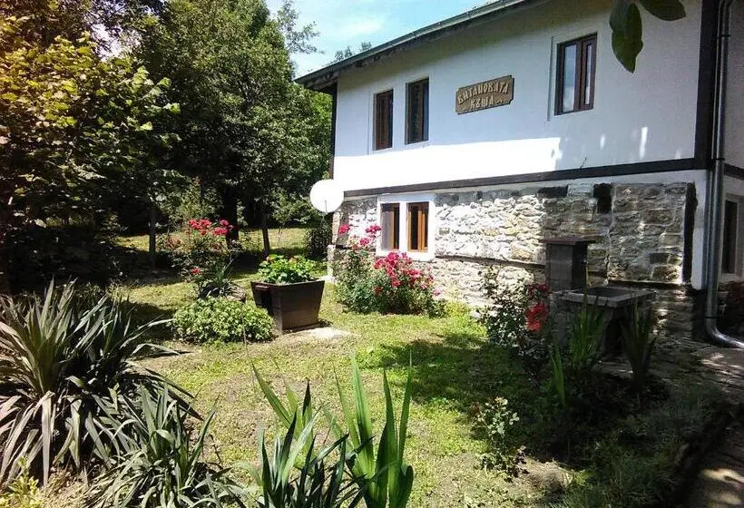 １ベッドルームハウス, Vitanova Guest House