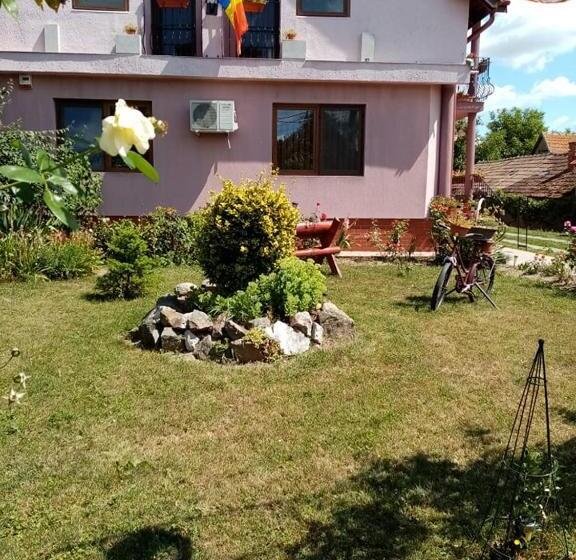 Номер Стандарт Вид на Сад, Pensiunea Oana