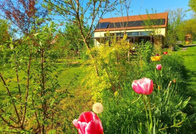 בית, 3 חדרי שינה, Le Baugyte   Gite De Groupe   14 Lits Simples