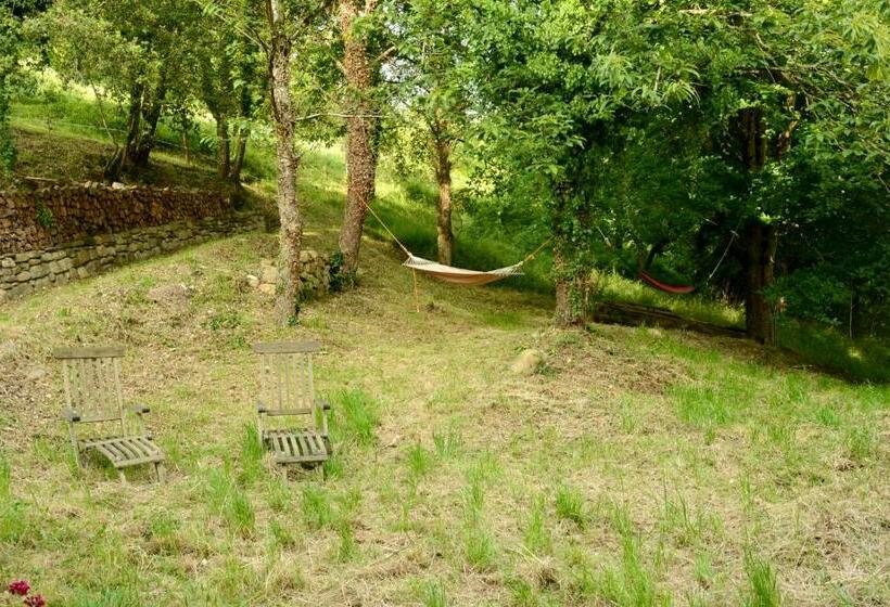 اتاق خانوادگی, Albergue Usandi Auto Check In