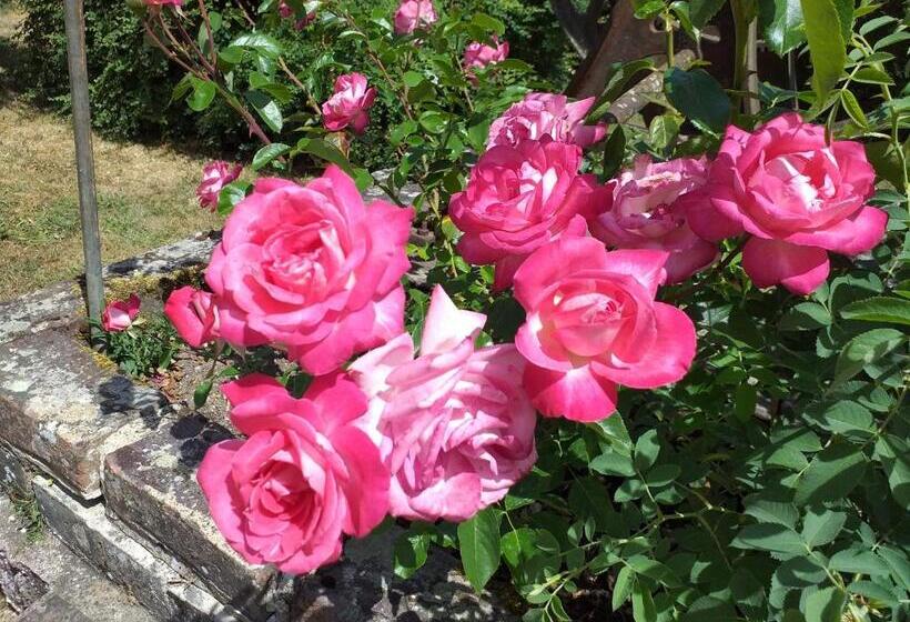 ファミリールーム, B&b Ferme De La Rouzannerie Pour 2 Ou Famille