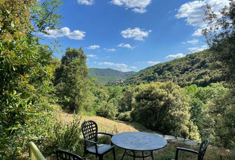 غرفة قياسية, Mas Des Nabières