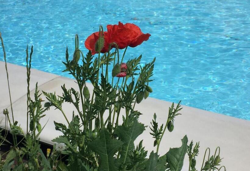 غرفة قياسية سرير كينج, Nido D Amore