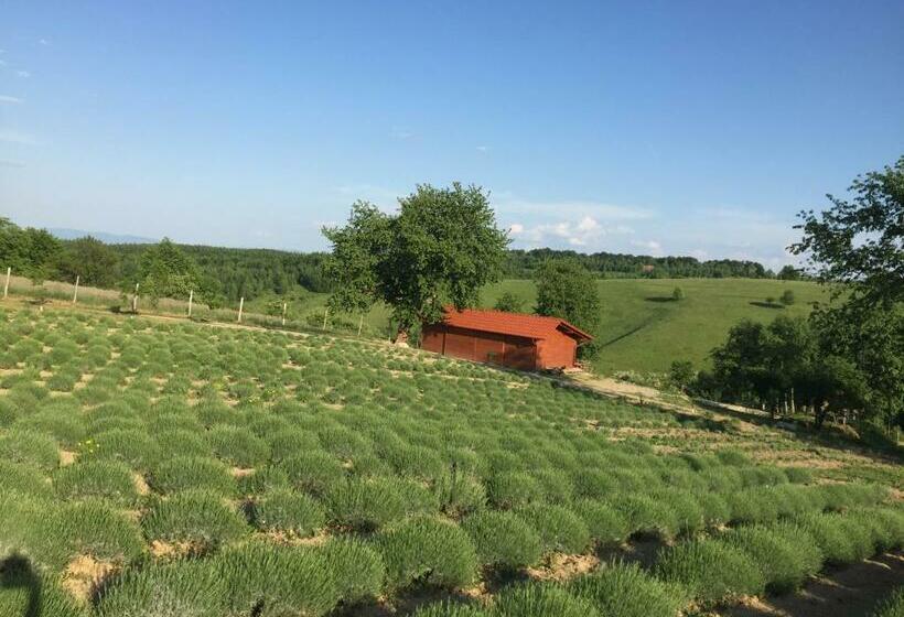 غرفة قياسية رباعية, Rose Hip Hill Farm