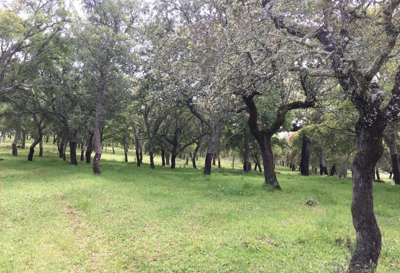 خانه 2 خوابه, Almojanda 3 Olive Tree