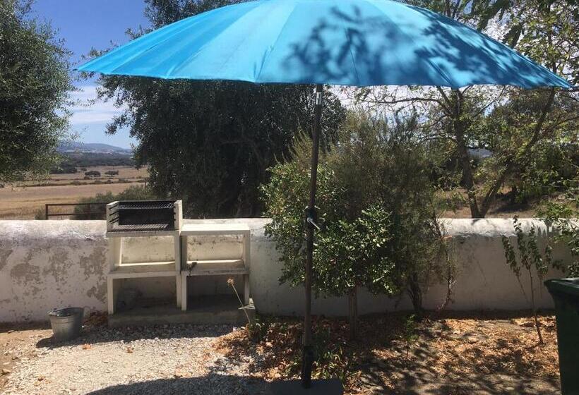 خانه 2 خوابه, Almojanda 3 Olive Tree