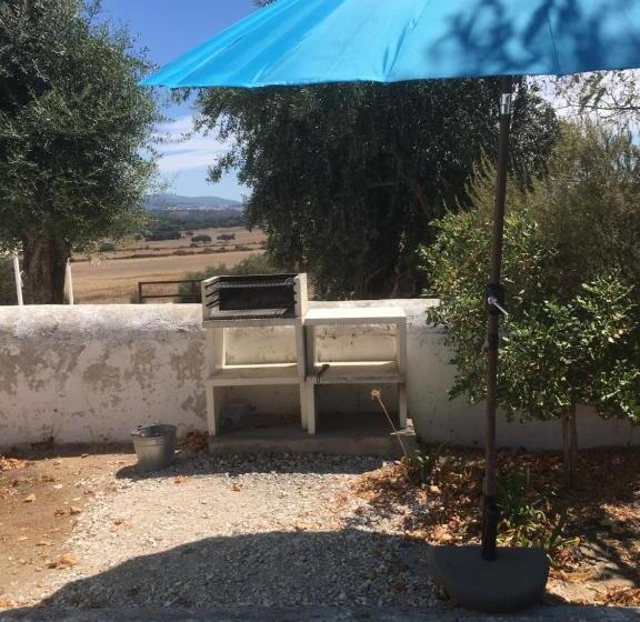 خانه 1 خوابه, Almojanda 3 Olive Tree