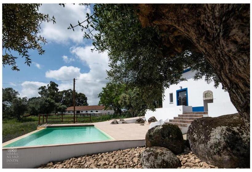 خانه 1 خوابه, Almojanda 3 Olive Tree