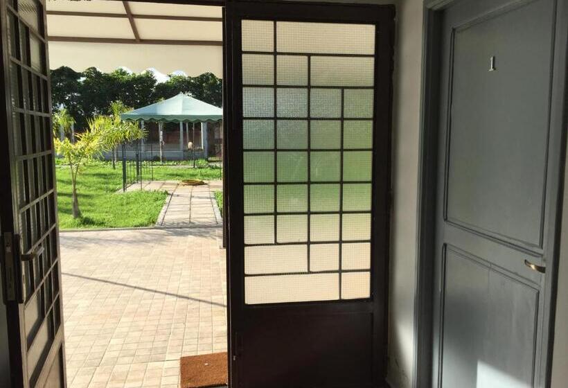 اتاق کلاسیک چهارنفره, Palm Grove Farm