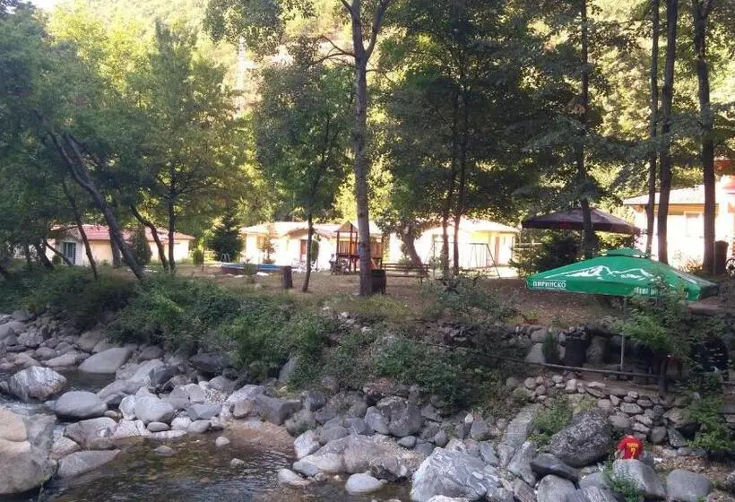 Habitació Estàndard, Valdis