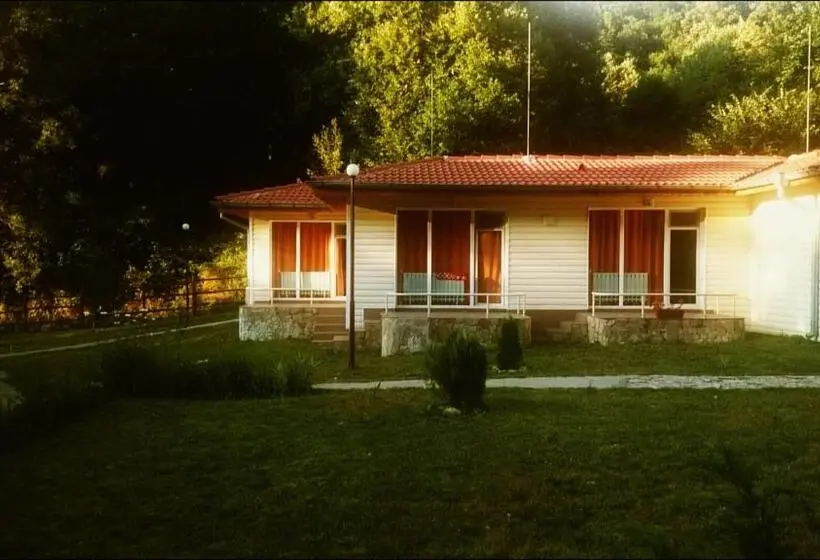 Habitació Estàndard, Valdis