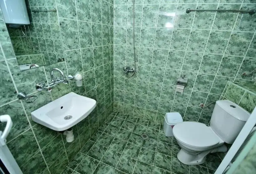 Habitació Estàndard, Valdis