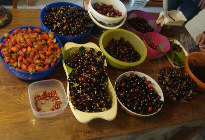 Deluxe Værelse, Domaine Des Cigales, Chambre D Hôtes