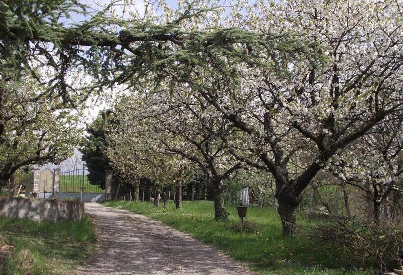 Deluxe Værelse, Domaine Des Cigales, Chambre D Hôtes
