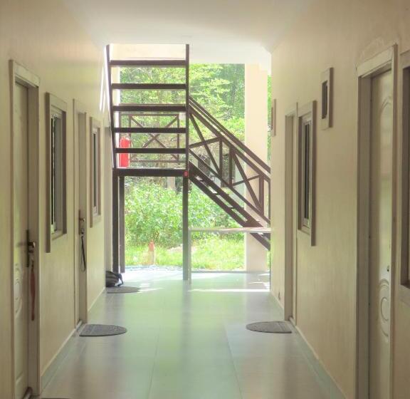 Номер Стандарт, The Cocoon