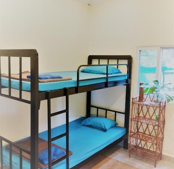 Кровать в Общей Комнате, The Cocoon