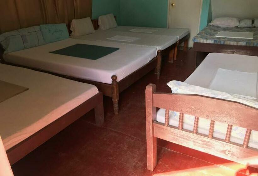 غرفة عائلية, Oasis Resthouse