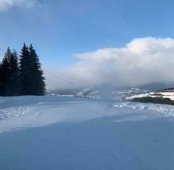 غرفة دوبلكس, Ski Cierny Balog