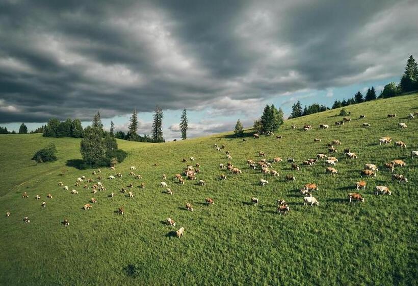 غرفة دوبلكس, Ski Cierny Balog