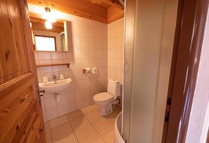 غرفة قياسية مطلة على المدينة, Ski Cierny Balog