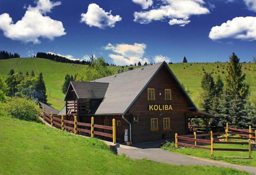 חדר סטנדרט נוף לעיר, Ski Cierny Balog