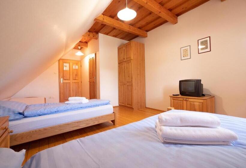 غرفة قياسية ثلاثية, Ski Cierny Balog