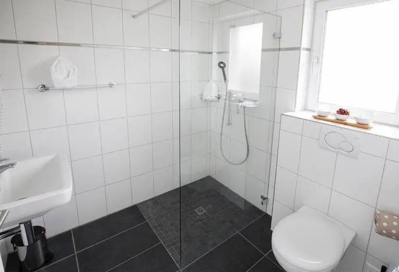 身障者適用スタンダードルーム, Gasthof Löwen Herznach