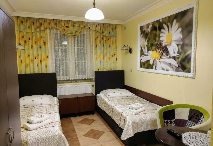 스탠다드 룸, Dwór Bartnika