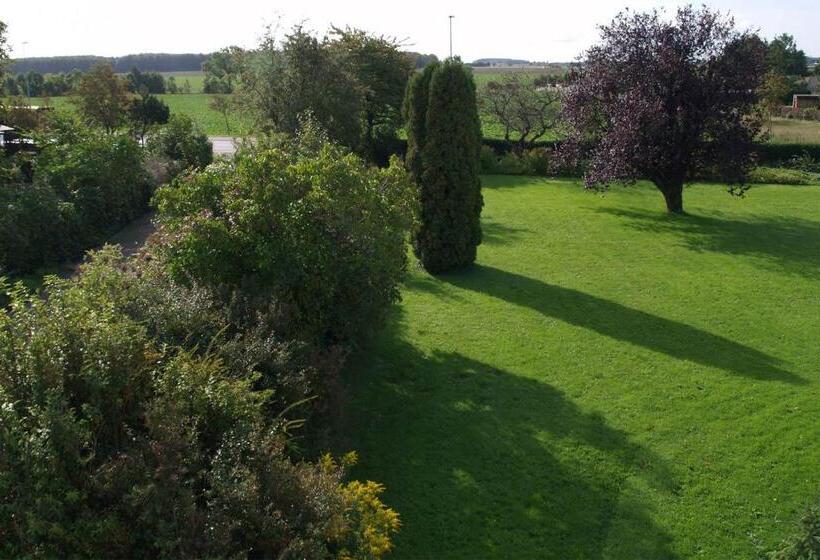 Номер Стандарт, Lolland